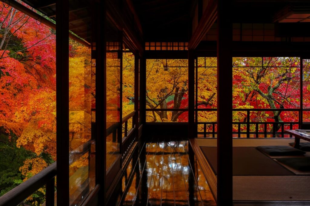 Đền Rurikoin Kyoto  京都市左京区 / 瑠璃光院